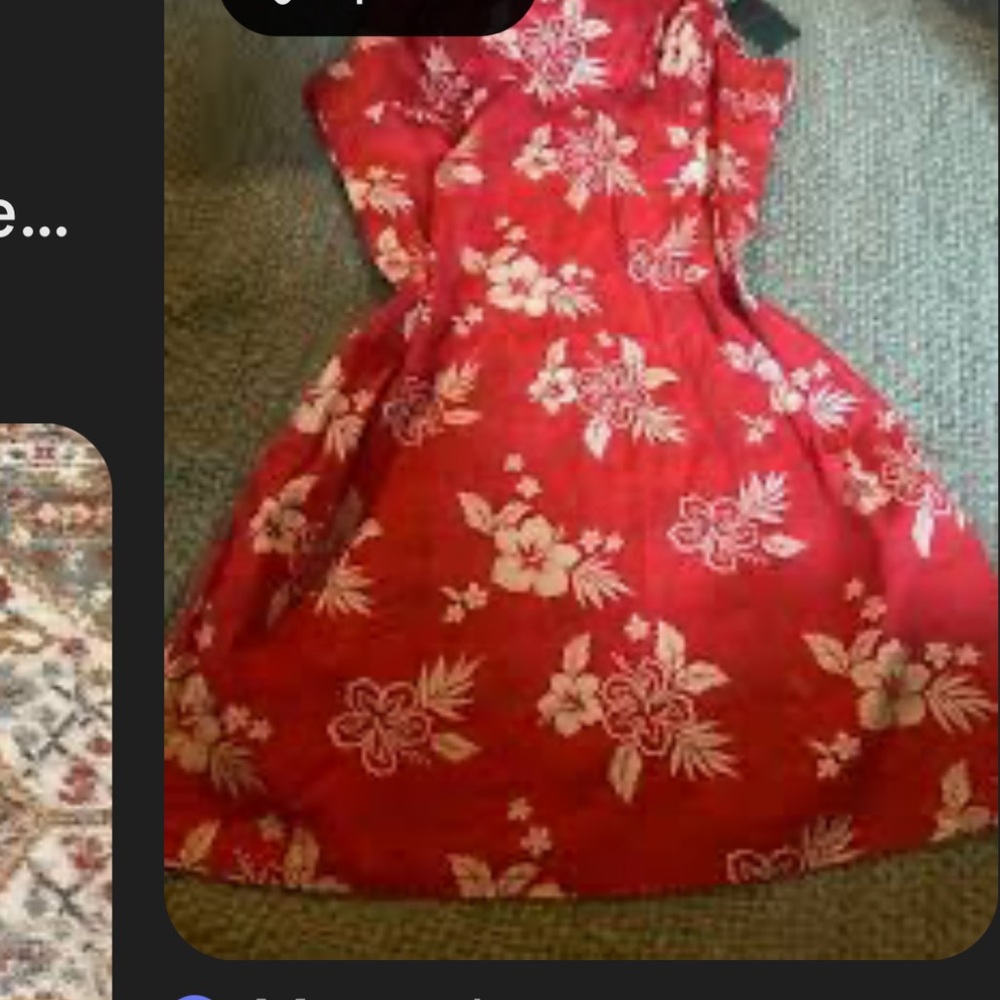 Wild Fable Red Floral Dress